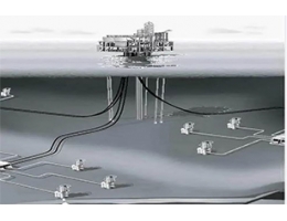 Seals for subsea valves